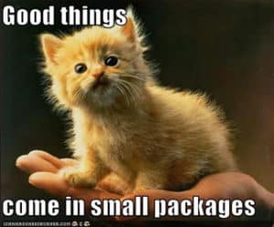 good-things-come-in-small-packages-300x249